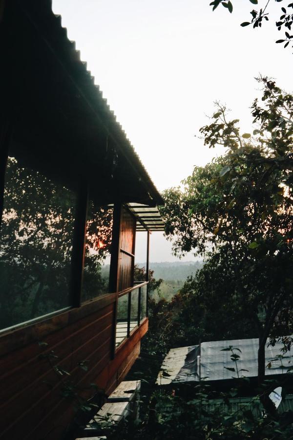 Amazonika Boutique Resort Arpora Eksteriør bilde