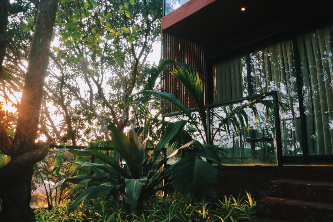 Amazonika Boutique Resort Arpora Eksteriør bilde