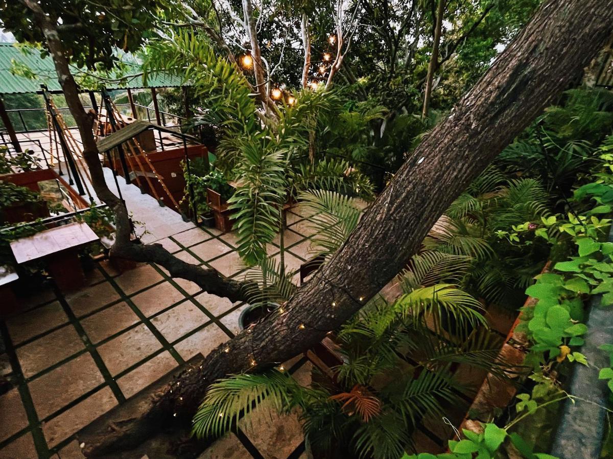 Amazonika Boutique Resort Arpora Eksteriør bilde